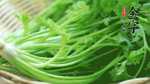 挑選鮮嫩的香菜，洗干凈后，處理成小段。