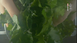 【面皮】1.鍋中水開(kāi)時(shí)，放挑揀好的艾草和一撮小蘇打，第一遍煮開(kāi)后倒掉，重新加水大火煮開(kāi)后，小火煮1小時(shí)。煮爛的艾草用紗布瀝干。