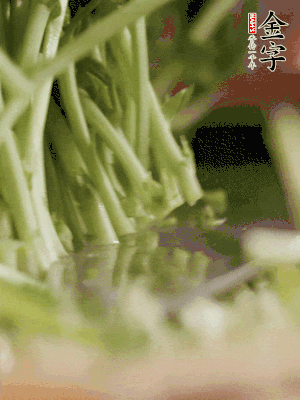 新鮮豌豆苗割下洗凈。